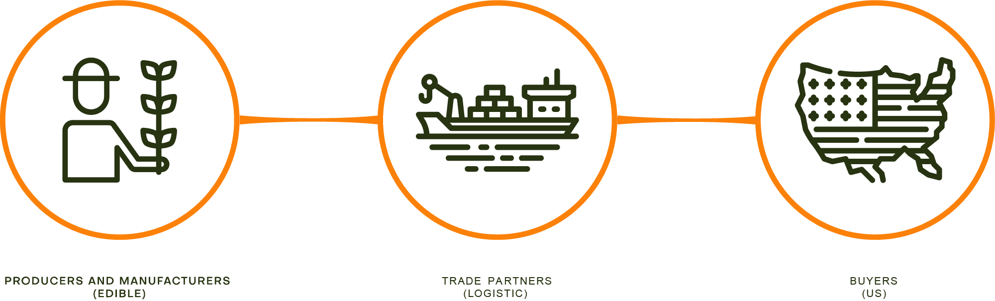 Ilustración de los procesos de gaia network