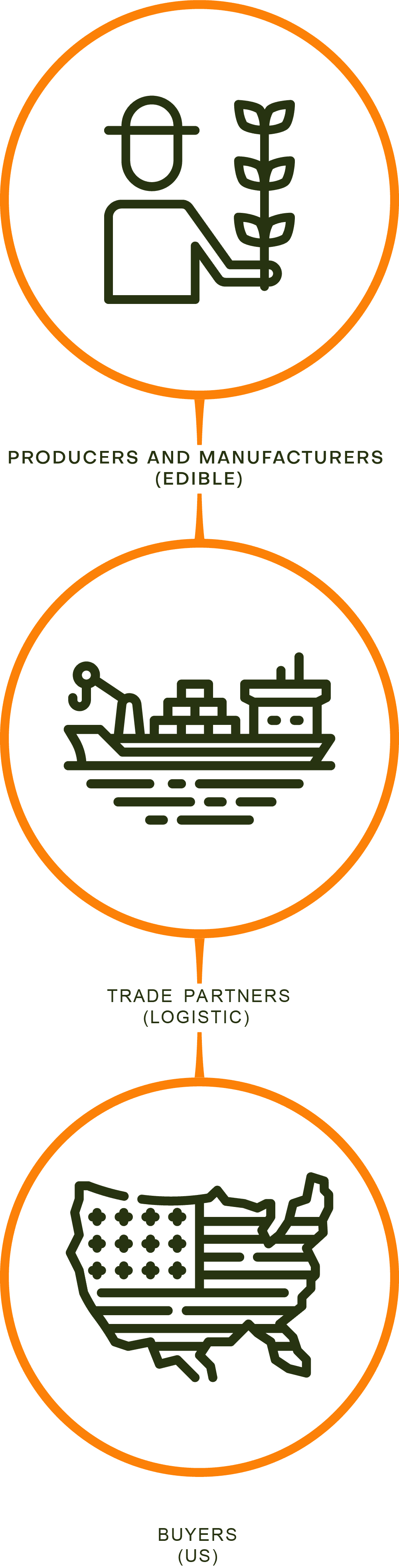 Ilustración de los procesos de gaia network